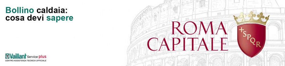 Bollino caldaia cosa devi sapere